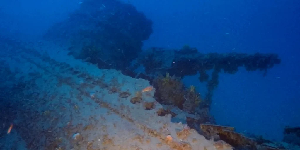 Jantina | Ανακαλύφθηκε ναυάγιο 80 ετών στον βυθό του Αιγαίου | Ποιο ήταν το Jantina