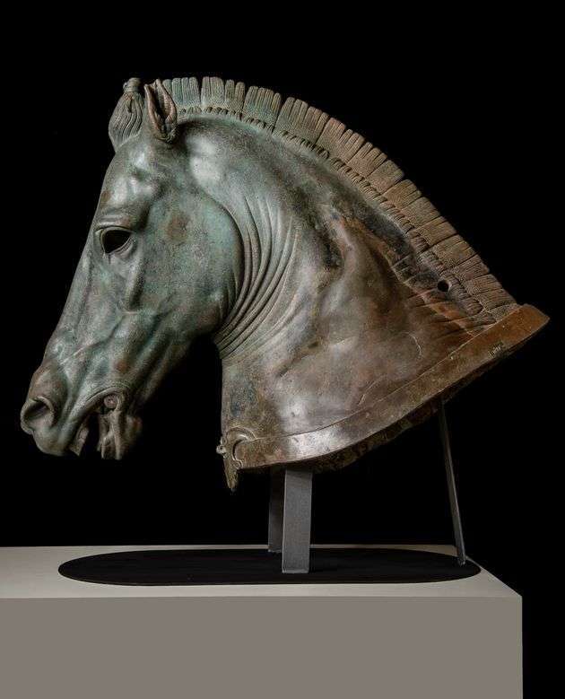 «Ιππος, το Άλογο στην αρχαία Αθήνα» | Για πρώτη φορά σε έκθεση ένας αρχαίος σκελετός αλόγου
